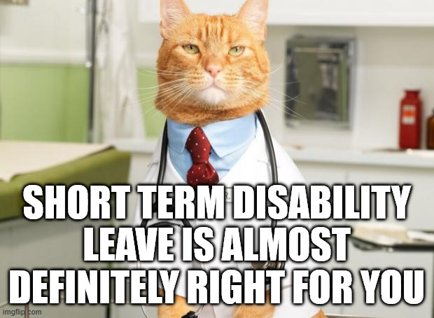 photo of a ginger cat in a lab coat with the caption "short term disability is almost definitely right for you"